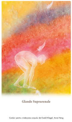 Carduri pentru vindecarea corpului