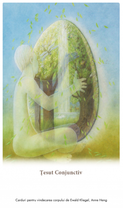 Carduri pentru vindecarea corpului