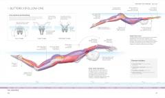 Science of Swimming