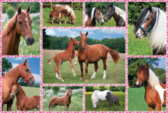 Puzzle 150 piese - Beautiful Horses