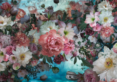 Puzzle 1500 piese - Aquascape