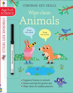 Wipe-Clean Animals