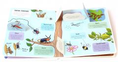 Insecte si alte ganganii 