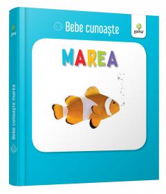 Marea