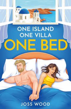 Coperta cărții One Bed
