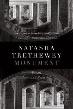 Coperta cărții Monument