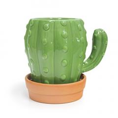Cana cu farfurie - Cactus