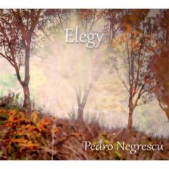 Elegy 