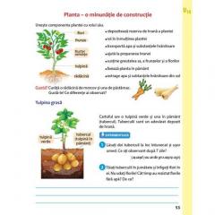 Caietul Curcubeu. Clasa I. Semestrul al II-lea