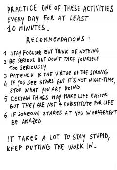 Stupidity Exercise Manual