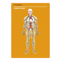 50 THINGS THAT MIGHT KILL YOU: THE SELF-DIAGNOSIS CARD DECK FOR HYPOCHONDRIACSa