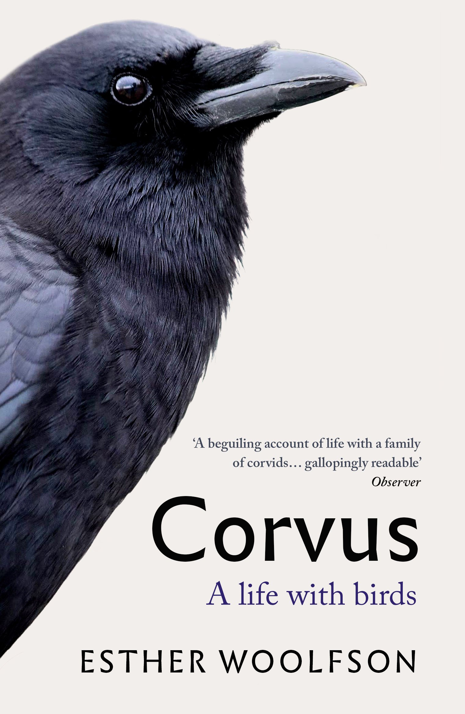 Corvus - A Life With Birds