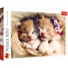 Puzzle - Pisicute somnoroase