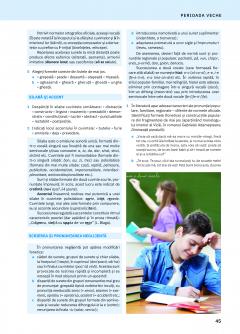 Manual de Limba si literatura romana - Clasa a XI-a