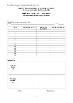 Matematica si Stiinte - Evaluare nationala la finalul clasei a VI-a