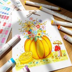 Set 40 markere - Ohuhu Oahu - Fine & Chisel