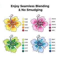 Set 80 markere - Ohuhu Oahu - Fine & Chisel