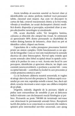 Creierul sub influenta artei