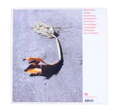 No Home Record - Vinyl