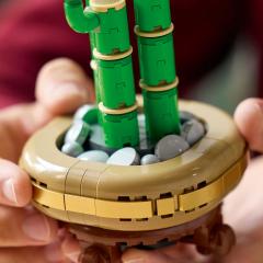 LEGO Icons - Bambus norocos (10344)