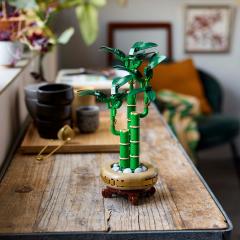 LEGO Icons - Bambus norocos (10344)