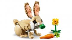 LEGO Creator - Iepuras dragalas 3 in 1 (31162)