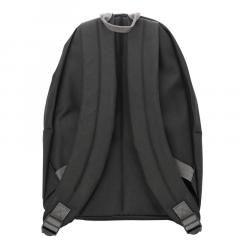 Ghiozdan - Harry Potter - Gryffindor