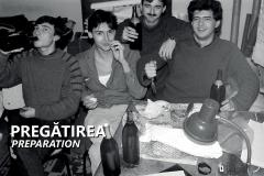 Muntele '80