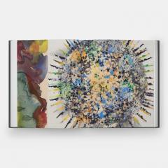 Collective Behavior