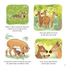 Ce stii despre puii de animale salbatice?