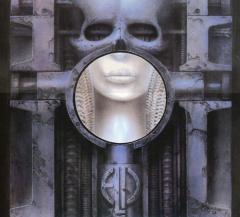 Brain Salad Surgery