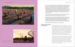 The Creative Entrepreneur