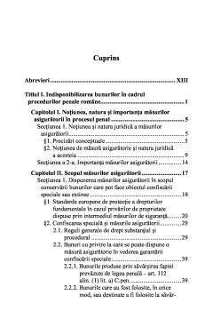 Masurile asiguratorii in procesul penal