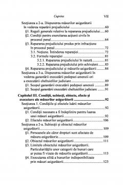 Masurile asiguratorii in procesul penal