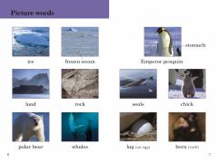 Ladybird Readers Level 3: BBC Earth - Ice Worlds