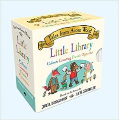 Little Library Box