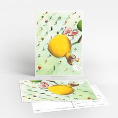 Carte postala - In iarba