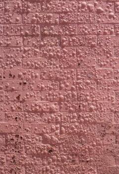 Coperta cărții Californian Wildflowers