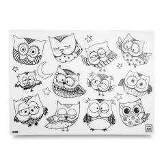 Plansa - Bufnitele haioase + Set instrumente de colorat
