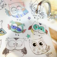 Plansa - Bufnitele haioase + Set instrumente de colorat