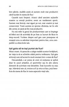 Arta de a gasi starea de flux