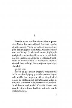 Binecuvantati animalele si copiii