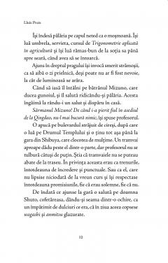 Hachiko. Cainele care astepta