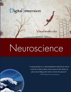 Coperta cărții Neuroscience Text