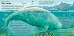 MEGA: The Most Enormous Animals Ever
