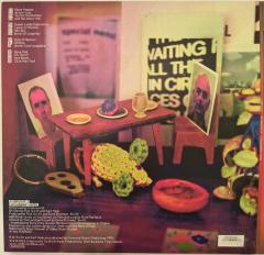 Strawberry Hotel - Vinyl