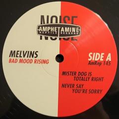 Bad Mood Rising - Vinyl