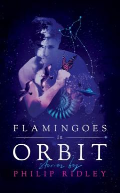 Coperta cărții Flamingoes in Orbit