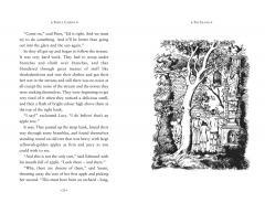 The Chronicles of Narnia (Box Set)