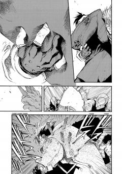 Trigun Maximum Deluxe Edition -  Volume 4